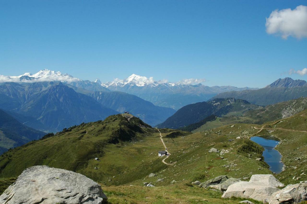 Mischabelblick Apartment Fiesch Bagian luar foto