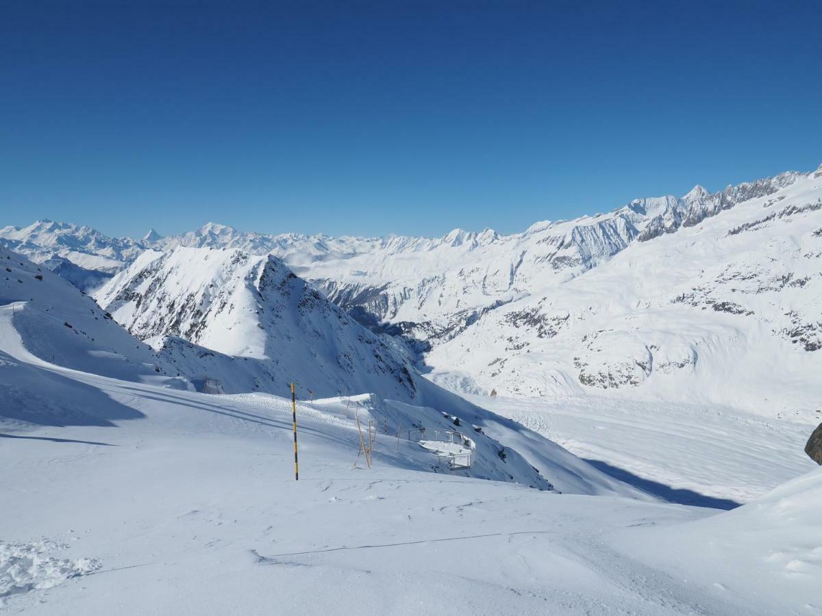 Mischabelblick Apartment Fiesch Bagian luar foto